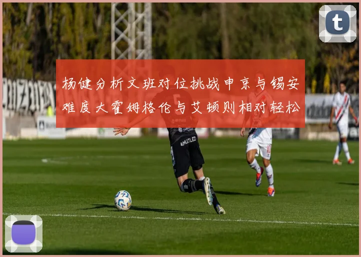 杨健分析文班对位挑战申京与锡安难度大霍姆格伦与艾顿则相对轻松